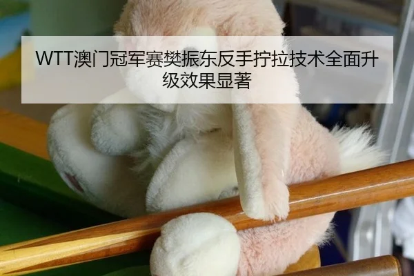 WTT澳门冠军赛樊振东反手拧拉技术全面升级效果显著